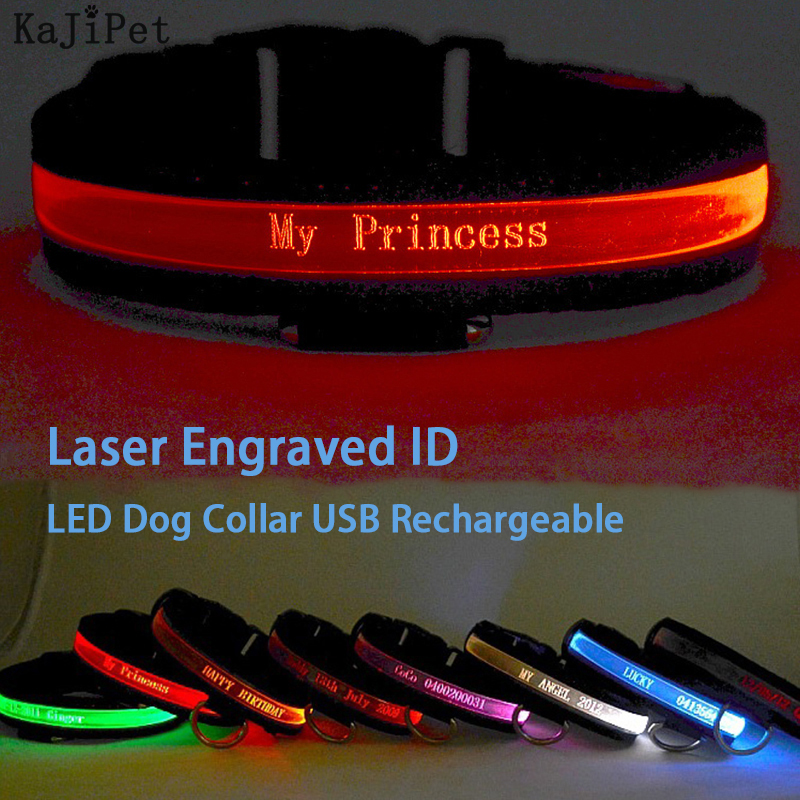 Tech Dog Accessories - Engraved ID LED Dog Collar Luminous