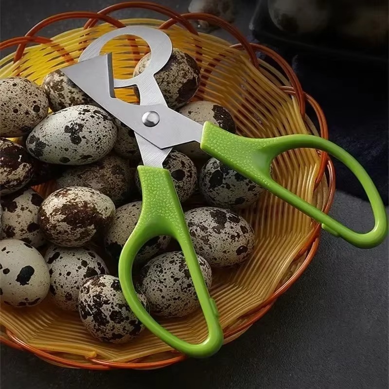 Pigeon Quail Egg Scissors Cutt - Tech Accessories And Gadgets のレビューと価格