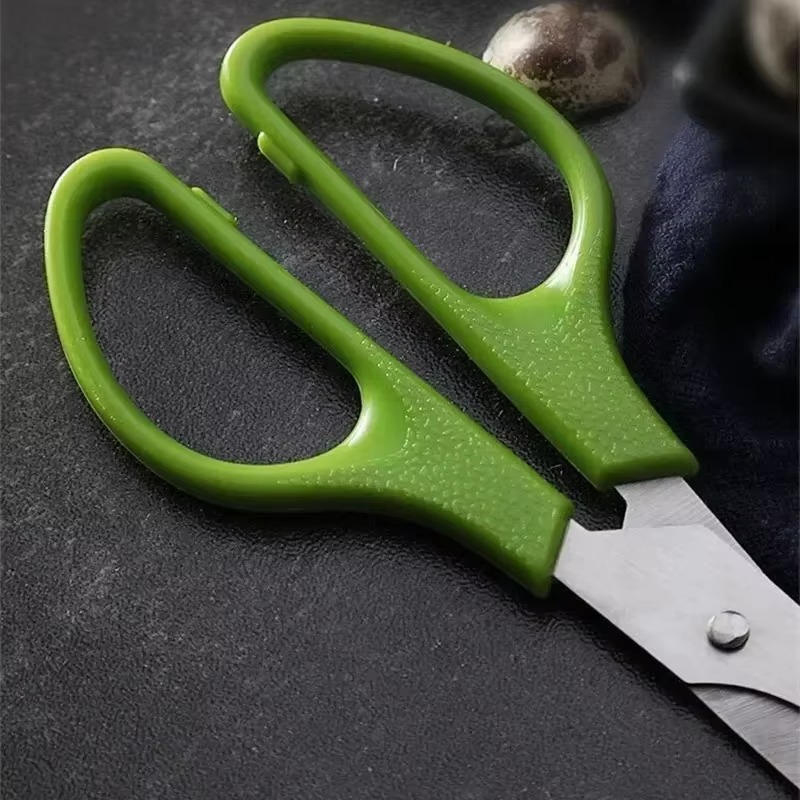 Pigeon Quail Egg Scissors Cutt - Tech Accessories And Gadgets のレビューと価格