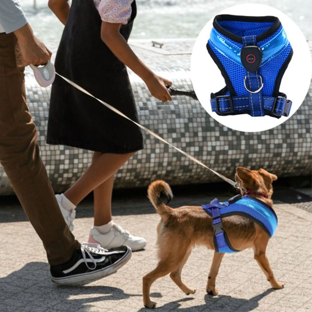 Practical Luminous Pet LED Har - Tech Dog Accessories のレビューと価格