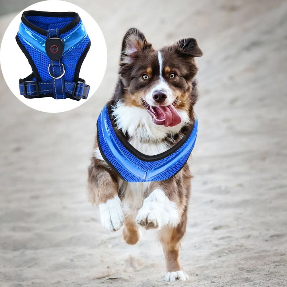Practical Luminous Pet LED Har - Tech Dog Accessories のレビューと価格