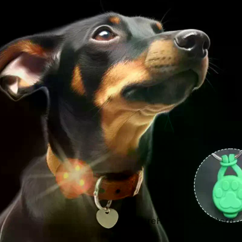 Silicone Pet Cat Dog Night LED - Tech Dog Accessories のレビューと価格