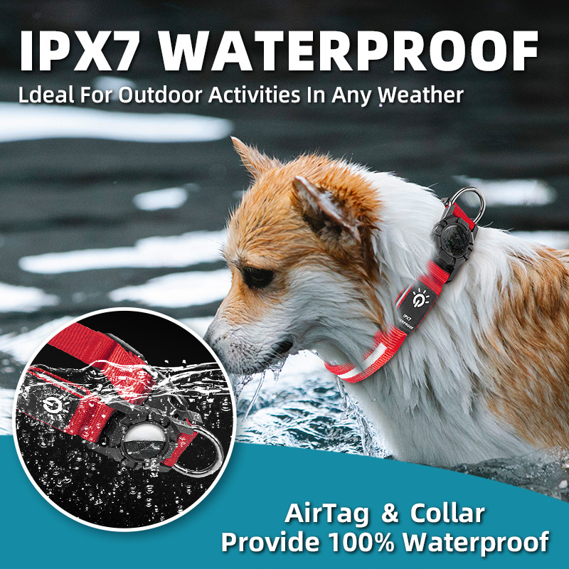 New Pet Collars WaterProof Led - Tech Dog Accessories のレビューと価格