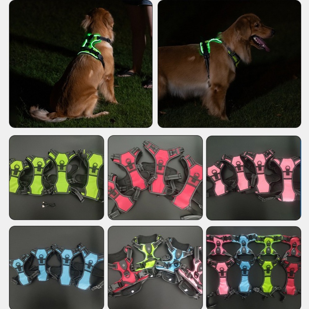 Light Up LED Dog Harness Recha - Tech Dog Accessories のレビューと価格