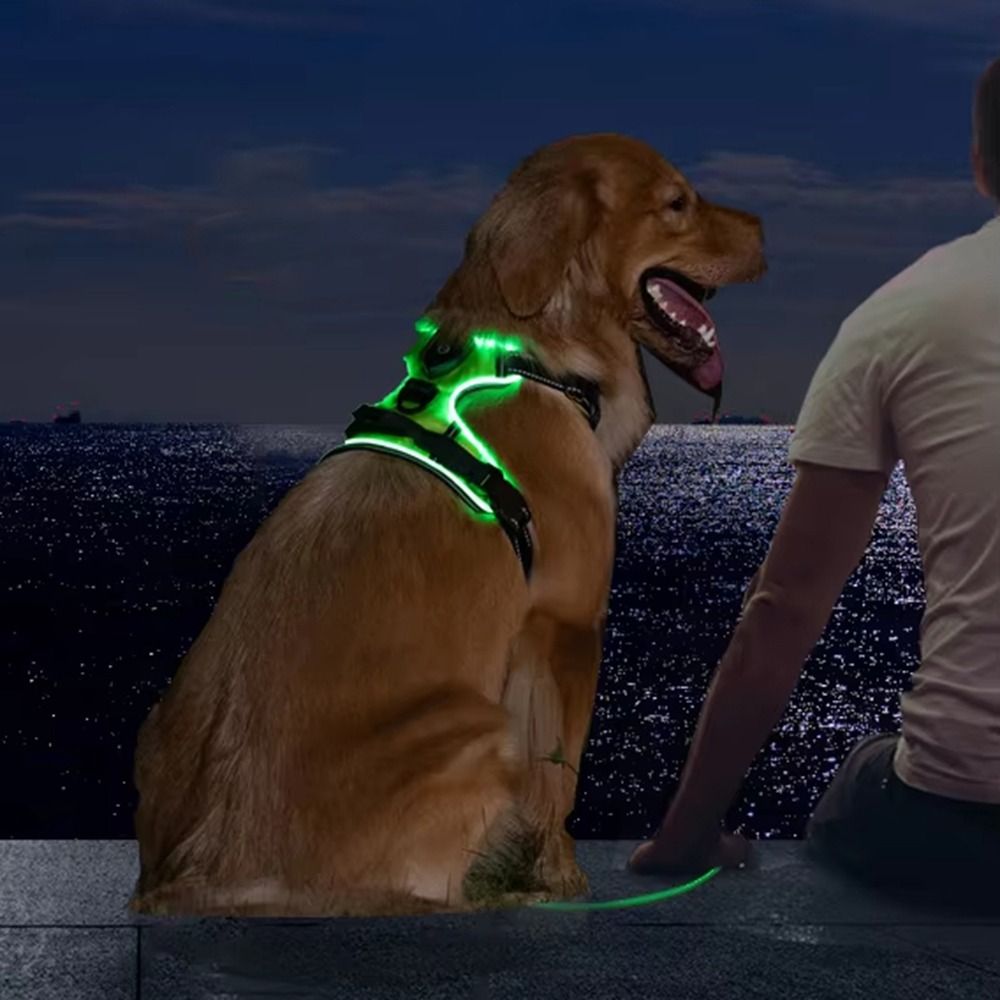 Light Up LED Dog Harness Recha - Tech Dog Accessories のレビューと価格