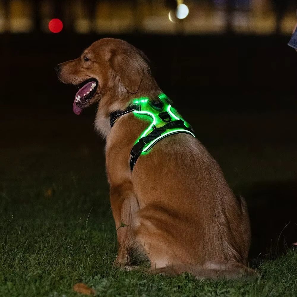 Light Up LED Dog Harness Recha - Tech Dog Accessories のレビューと価格