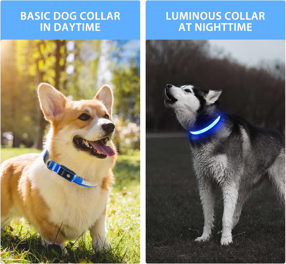 USB LED Dog Collar Lights - Ad - Tech Dog Accessories のレビューと価格