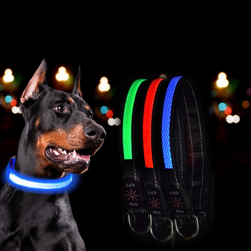 USB LED Dog Collar Lights - Ad - Tech Dog Accessories のレビューと価格