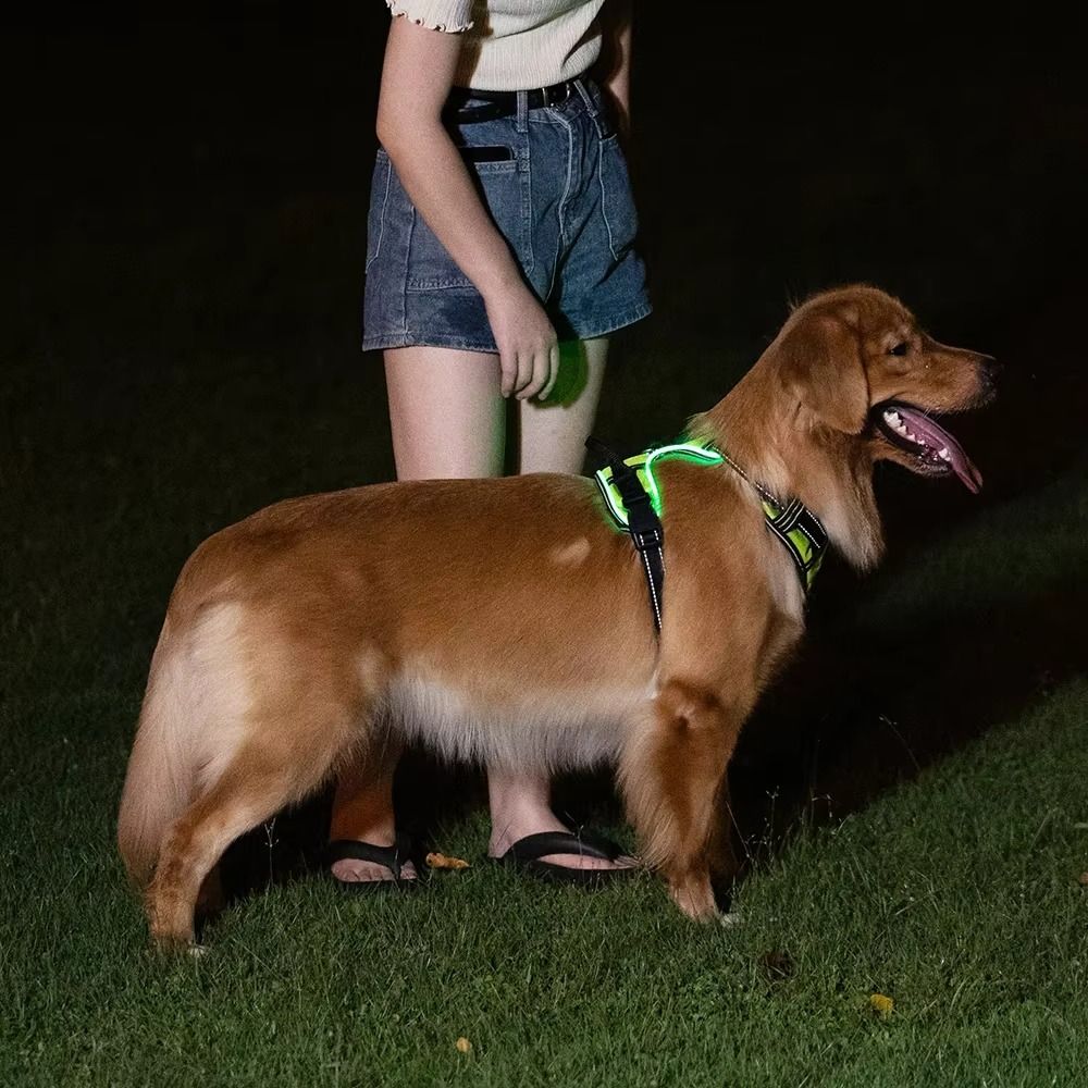 Durable Light Up LED Dog Harne - Tech Dog Accessories のレビューと価格
