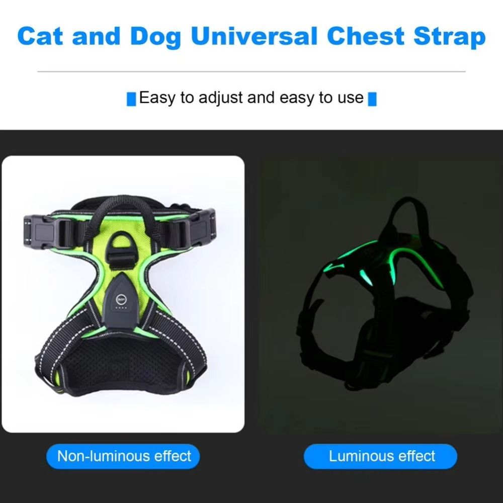 Durable Light Up LED Dog Harne - Tech Dog Accessories のレビューと価格
