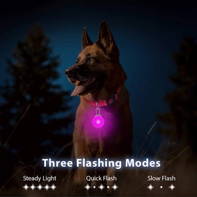 LED Glowing Pendant Flashlight - Tech Dog Accessories のレビューと価格
