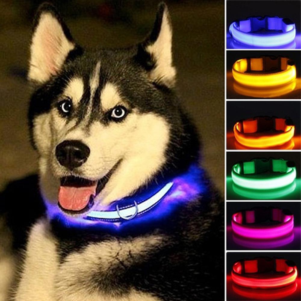 LED Dog Anti-lost Collar Glowi - Tech Dog Accessories のレビューと価格
