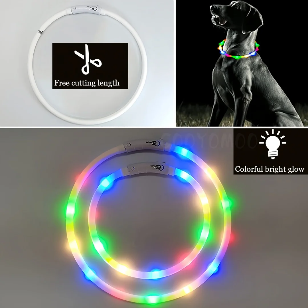 New Led Luminous Dog Collar 4  - Tech Dog Accessories のレビューと価格