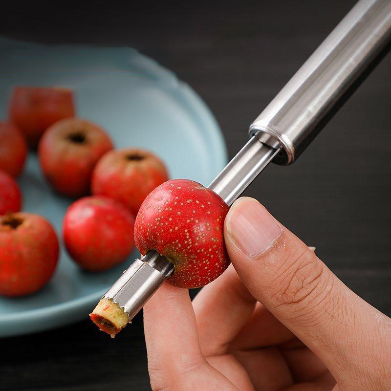 Stainless Steel Fruit Corer Ap - Tech Accessories And Gadgets のレビューと価格