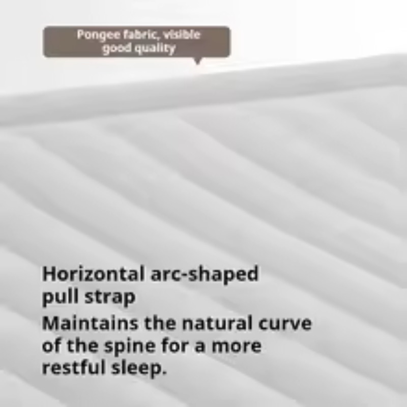 Inflatable Air Mattress Built- - Tech Queen のレビューと価格