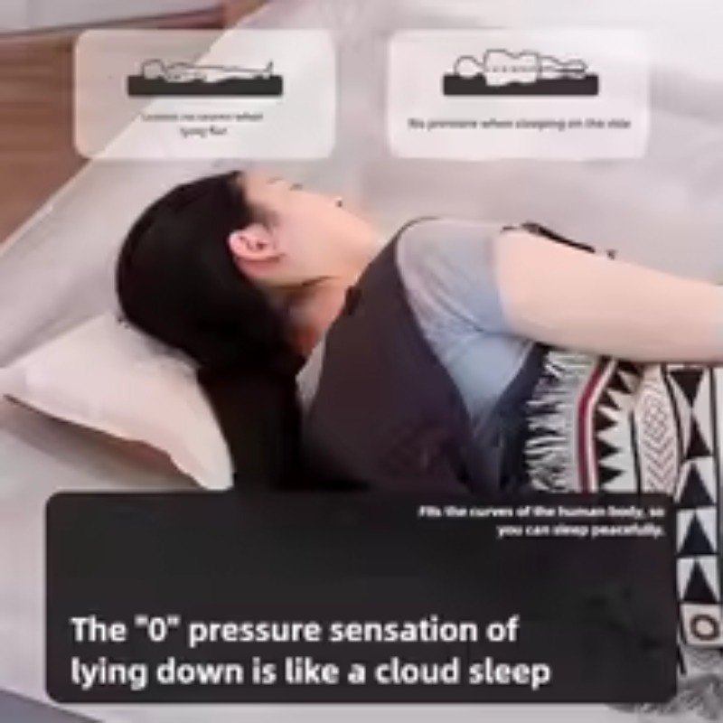 Inflatable Air Mattress Built- - Tech Queen のレビューと価格