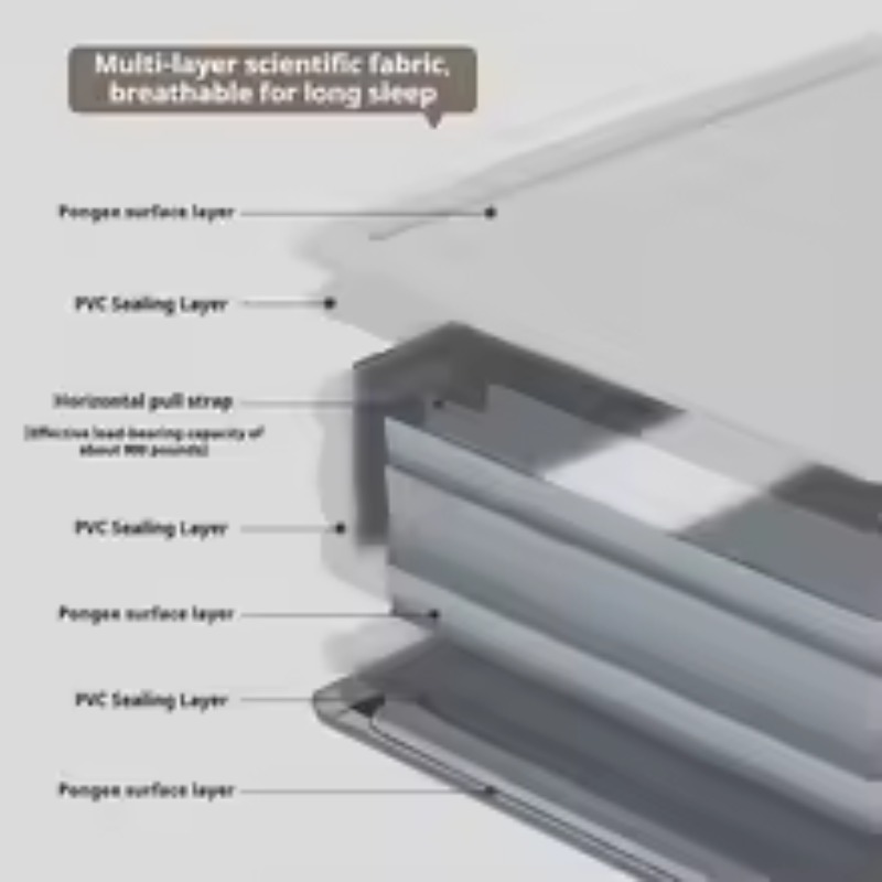 Inflatable Air Mattress Built- - Tech Queen のレビューと価格