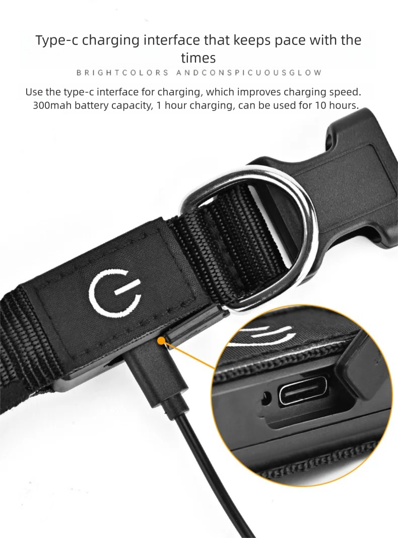 LED Dog Collar USB Rechargeabl - Tech Dog Accessories のレビューと価格