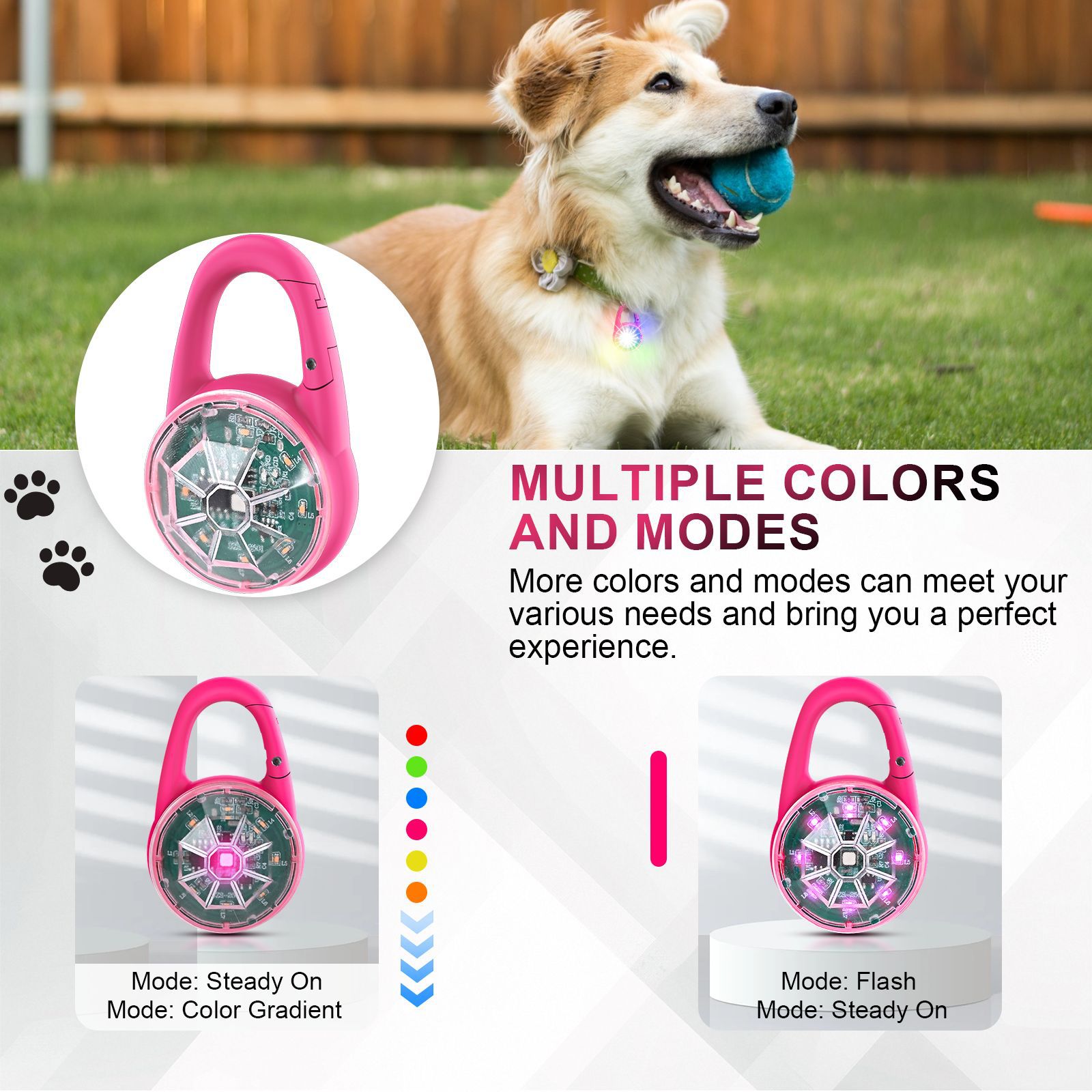 USB Rechargeable LED Pet Safet - Tech Dog Accessories のレビューと価格