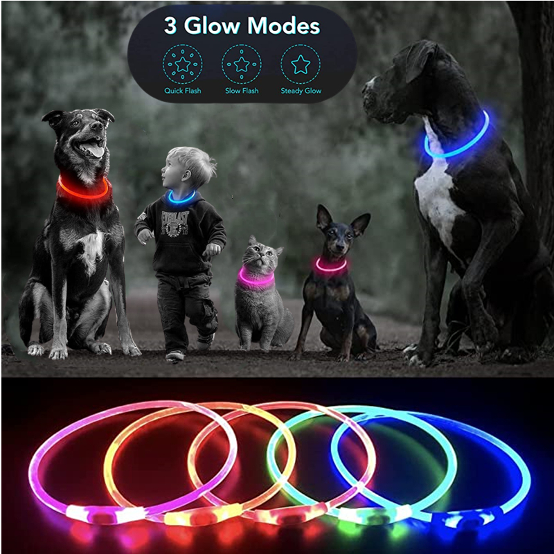 Luminous Dog Collar Light Char - Tech Dog Accessories のレビューと価格