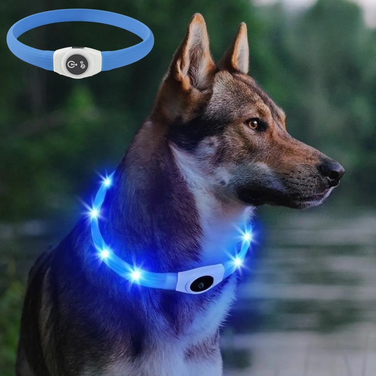 New Led Luminous Dog Collar PV - Tech Dog Accessories のレビューと価格