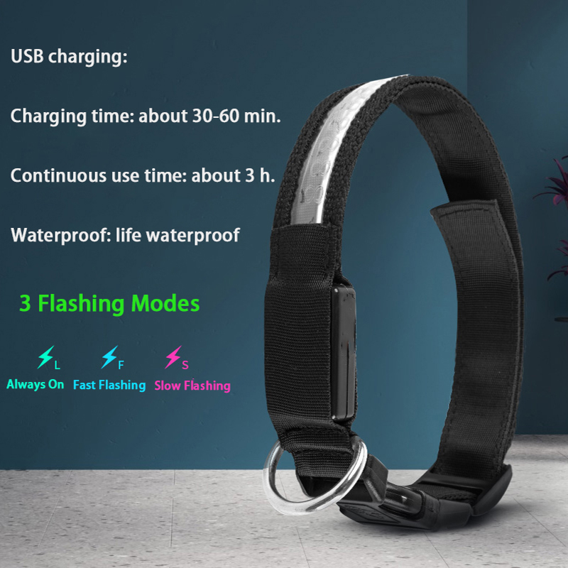 Engraved ID LED Dog Collar Lum - Tech Dog Accessories のレビューと価格