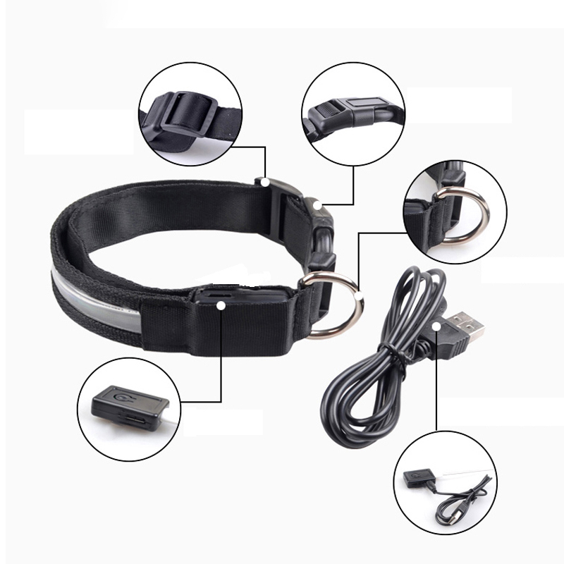 Engraved ID LED Dog Collar Lum - Tech Dog Accessories のレビューと価格