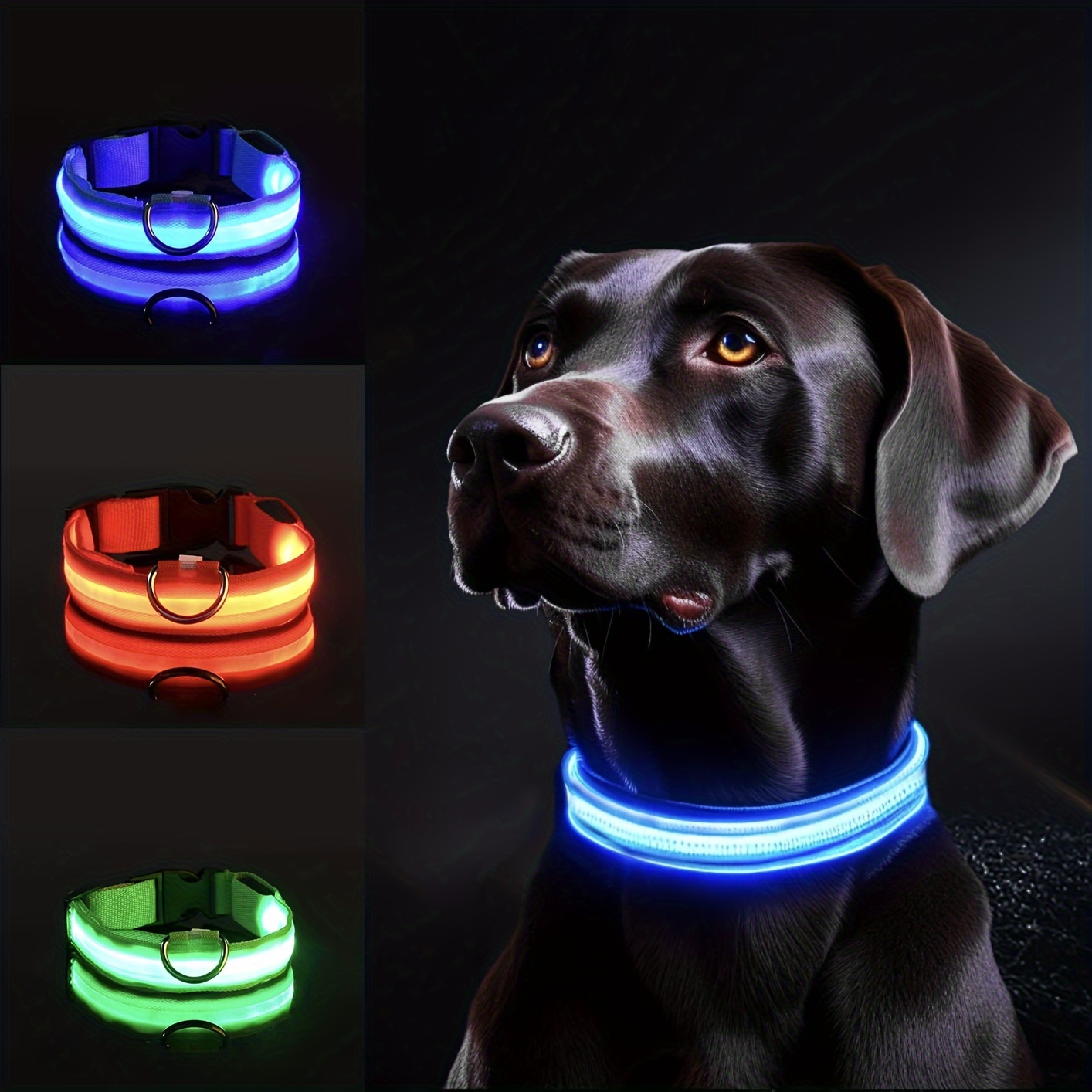 Reflective LED Dog Collar for  - Tech Dog Accessories のレビューと価格