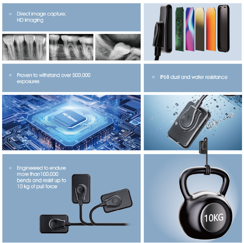 New Arrival Digital RVG Intrao - Tech Accessories Images のレビューと価格