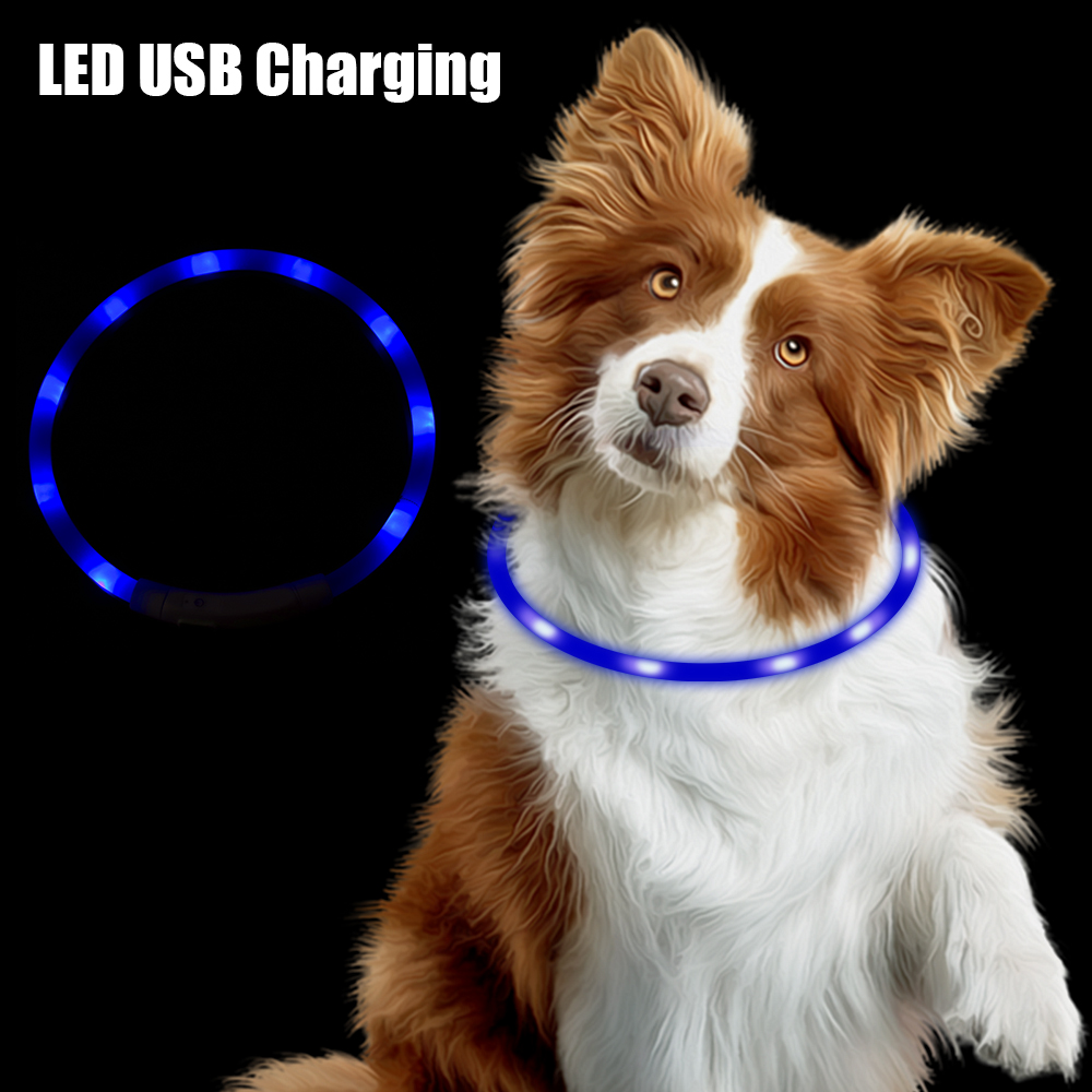 Night Safety Flashing Glow  Co - Tech Dog Accessories のレビューと価格