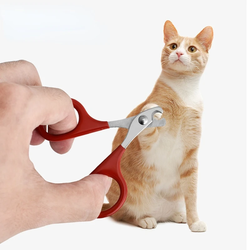 Professional Cat Nail Scissors - Tech Dog Accessories のレビューと価格